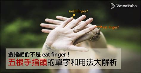 食指 台語|五根手指頭的台語該怎麼說？「食指」的說法竟然是疊字？超級可。